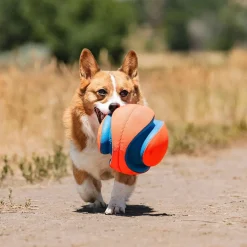 Chuckit Koiran Pallot*Kick Fetch -jalkapallo