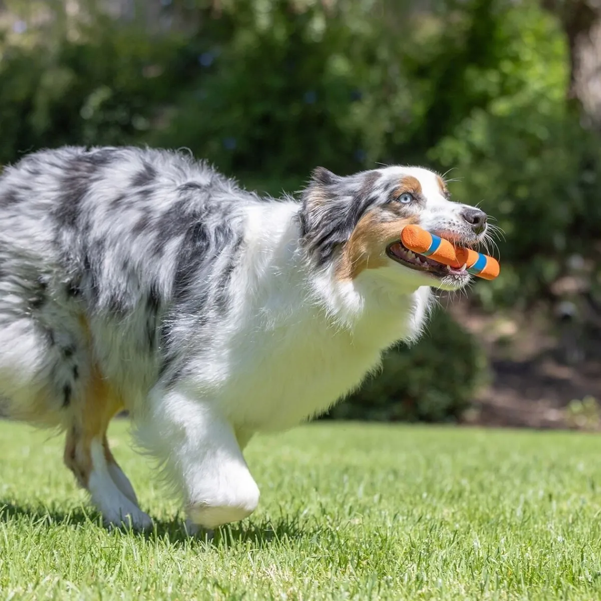 Chuckit Koiran Pallot Ja Heittolelut*Ultra Fetch Stick