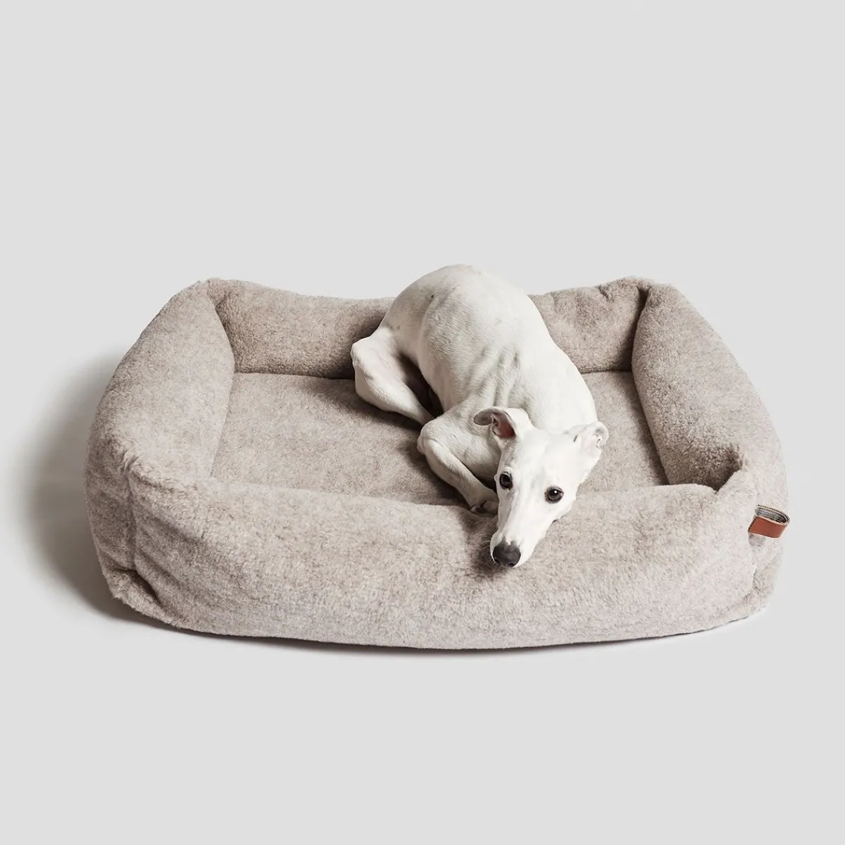 Cloud7 Koiran Pedit Ja Alustat|Koiran Pedit*koiranpeti sleepy Deluxe Teddy