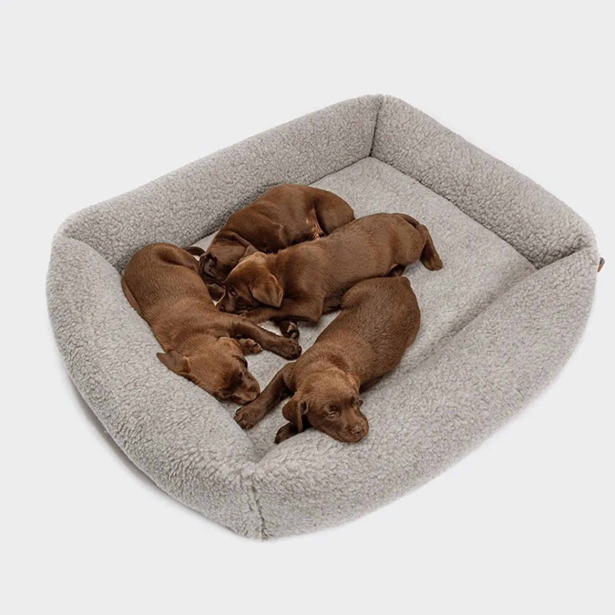 Cloud7 Koiran Pedit Ja Alustat|Koiran Pedit*koiranpeti sleepy Deluxe Teddy