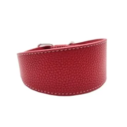 Collar of Sweden Koiran Pannat*leveä solkipanta, punainen