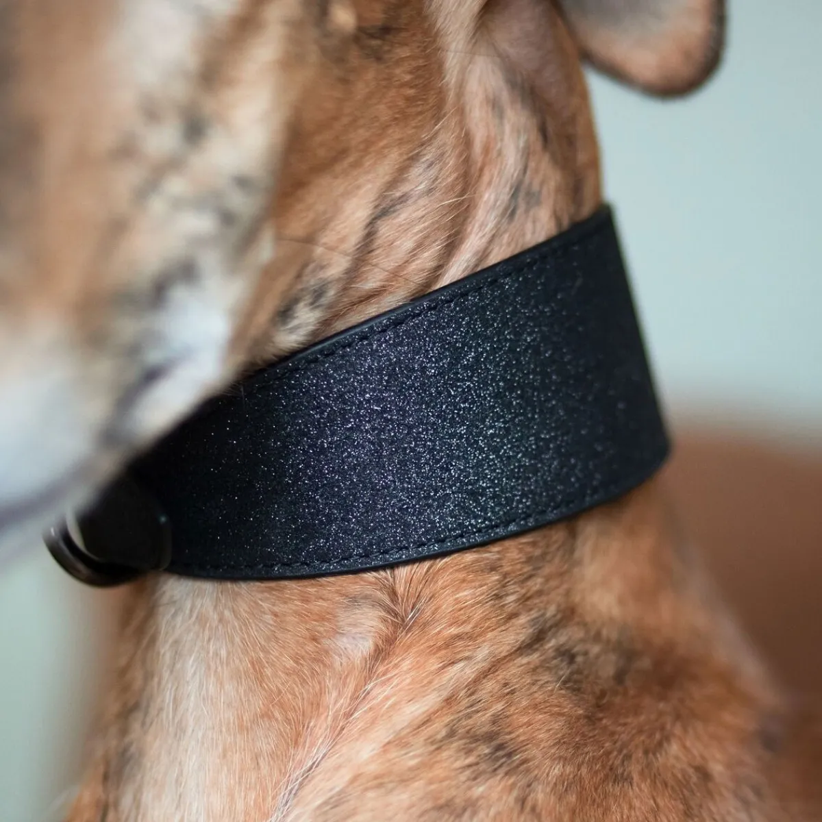 Collar of Sweden Koiran Pannat*leveä solkipanta, musta glitter