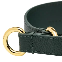 Collar of Sweden Koiran Pannat*martingaalipanta leveä, tummanvihreä