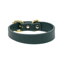 Collar of Sweden Koiran Pannat*solkipanta kapea, tummanvihreä