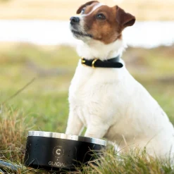 Collar of Sweden Koiranpennun Ruokailu|Koiran Ruoka- Ja Juomakupit*teräskuppi liukuesteellä
