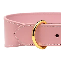Collar of Sweden Koiran Pannat*vinttikoirapanta, pinkki