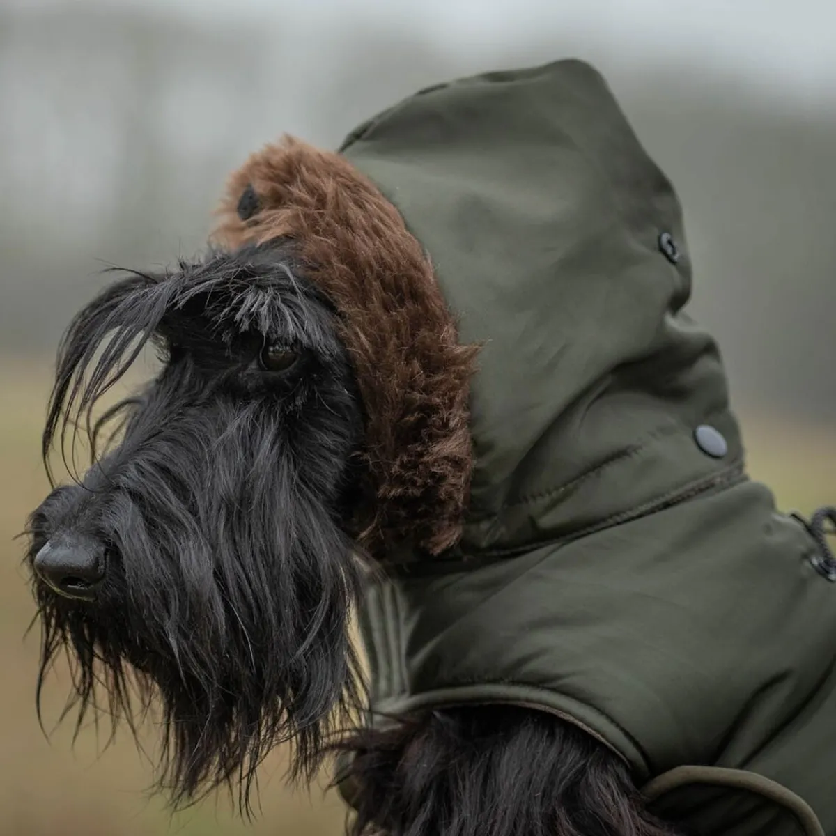 51 Degrees North Koiran Vaatteet|Koiran Talvitakit*takki Inuit, khaki