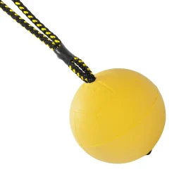 Dingo Gear Igp|Koiran Treenilelut*Magneettipallo