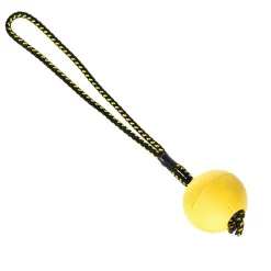 Dingo Gear Igp|Koiran Treenilelut*Magneettipallo