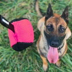 Dingo Gear Koiran Pallot Ja Heittolelut|Koiran Treenilelut*Nylcot treenipallo narulla 9 cm