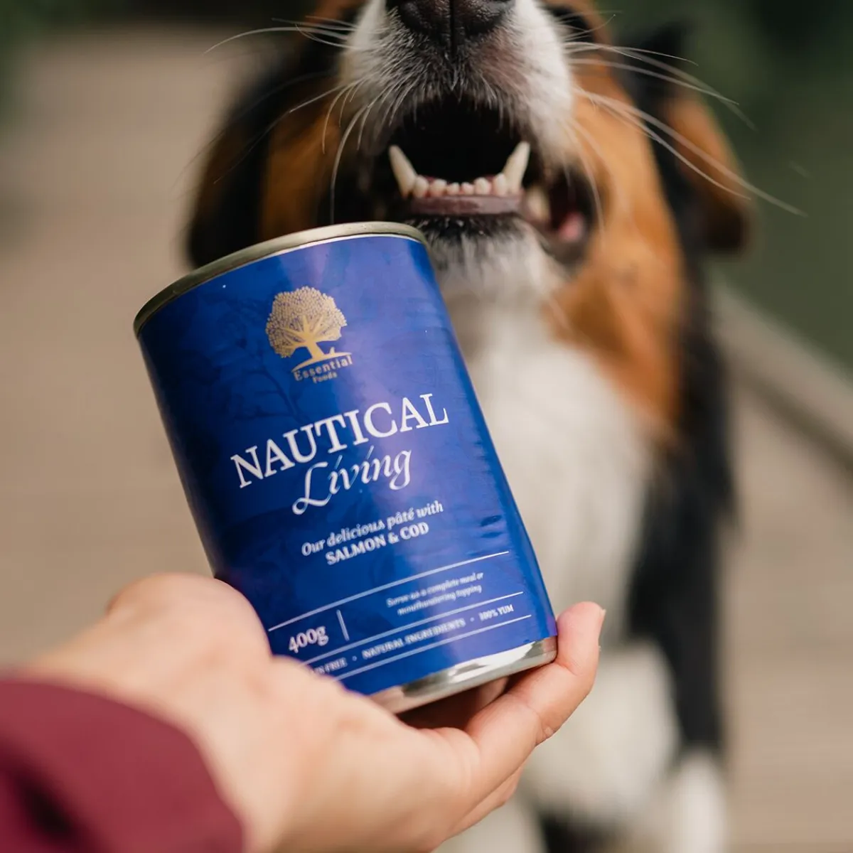Essential Foods Koiran Märkäruoka Ja Makkarat*ESSENTIAL NAUTICAL LIVING PATÉ 400g