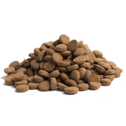 Essential Foods Koiran Kuivaruoka|Viljaton Koiranruoka*ESSENTIAL OLDER 10kg