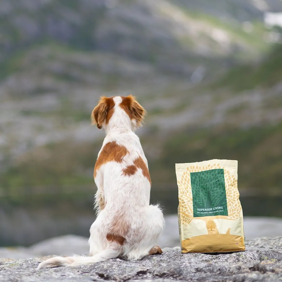 Essential Foods Koiran Kuivaruoka|Viljaton Koiranruoka*ESSENTIAL SUPERIOR LIVING SMALL BREED 2,5kg