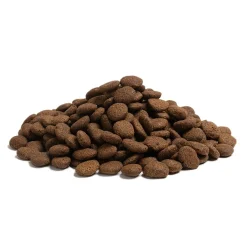 Essential Foods Koiran Kuivaruoka|Viljaton Koiranruoka*ESSENTIAL the BEGINNING Large Breed 10 kg