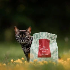 Essential Foods Viljaton Kissanruoka|Kissanpennun Ruoka*ESSENTIAL The LITTLE LION