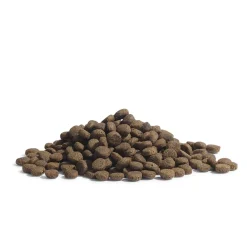 Essential Foods Viljaton Kissanruoka|Kissan Kuivaruoka*ESSENTIAL The PANTHER