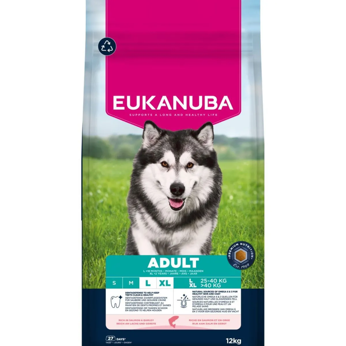 Eukanuba Koiran Kuivaruoka*Adult Large Breed Salmon & Barley