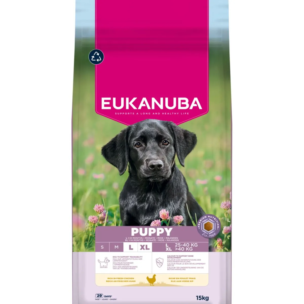 Eukanuba Penturuoka|Koiran Kuivaruoka*Dog Puppy Large 2 x 15kg