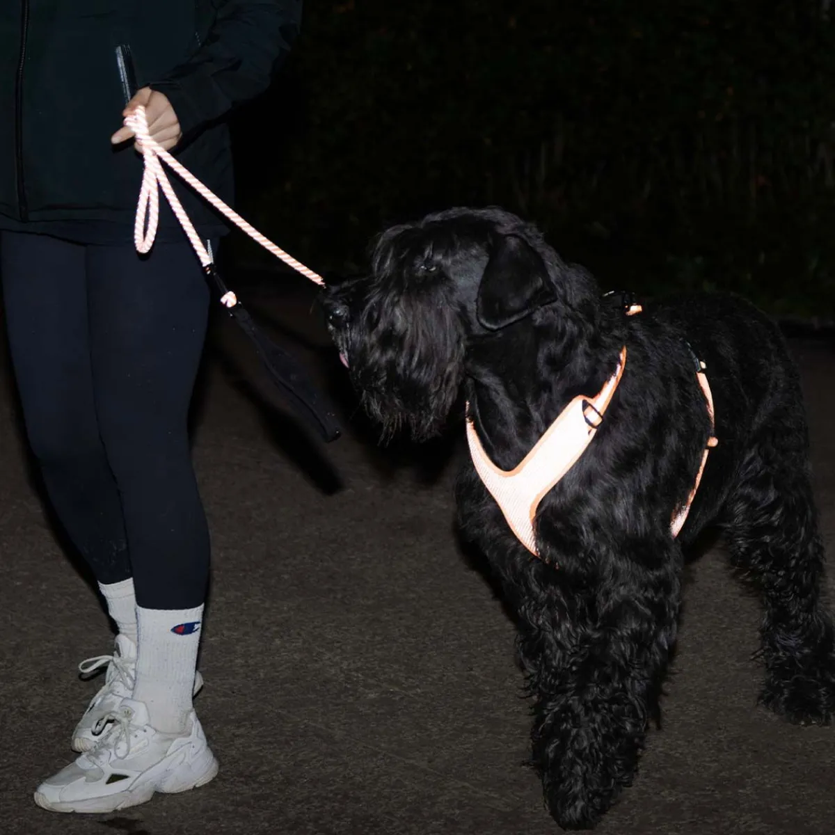Feel Active Koiran Heijastimet Ja Valot|Koiran Valjaat*Reflective heijastinvaljas oranssi