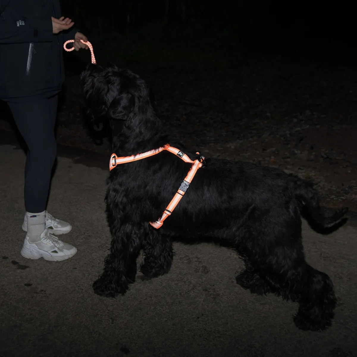 Feel Active Koiran Heijastimet Ja Valot|Koiran Valjaat*Reflective heijastinvaljas oranssi