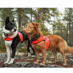 FinNero Koiran Vaatteet|Koiran Huomioliivit*Ukko metsästysliivi