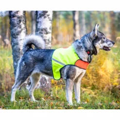 FinNero Koiran Vaatteet|Koiran Huomioliivit*Ukko metsästysliivi