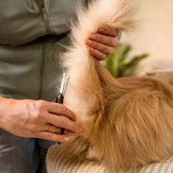 Fiskars Trimmaussakset|Koiran Trimmaus Ja Turkinhoito*pyöreäkärkiset sakset