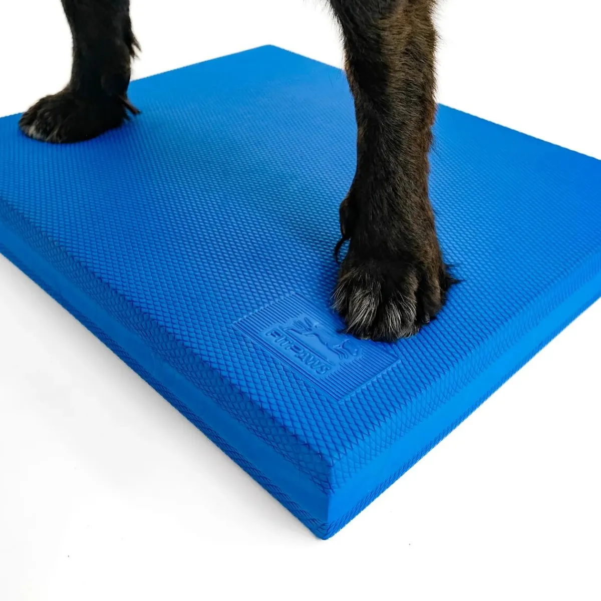 FitPaws Koiran Tasapainotyynyt|Toko*Balance Pad, 38 x 46 x 5 cm