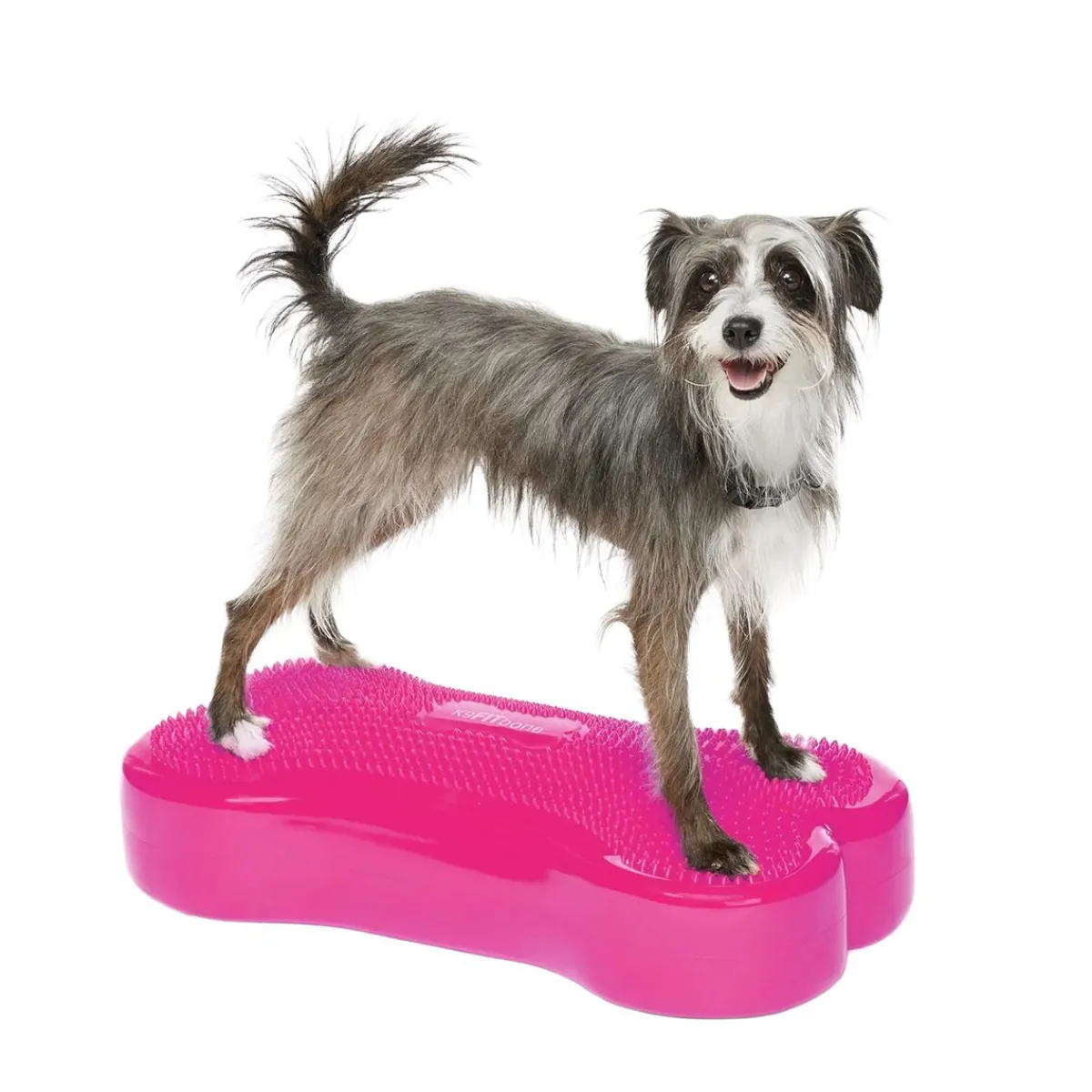 FitPaws Koiran Tasapainotyynyt|Uutuudet Koirille*K9FitBone, 58 x 29 x 10 cm