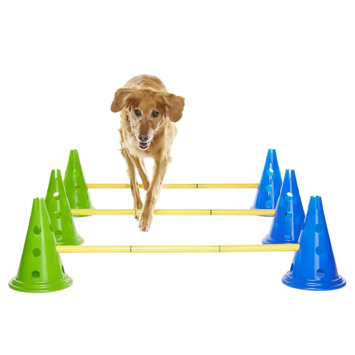 FitPaws Agility|Agility*K9-kavaletti 58 x 29 x 10 cm