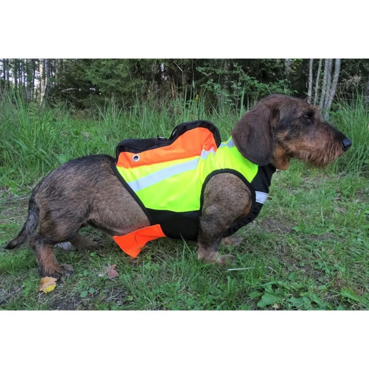 Kardog Koiran Gps*GPS-huomioliivi Inari,