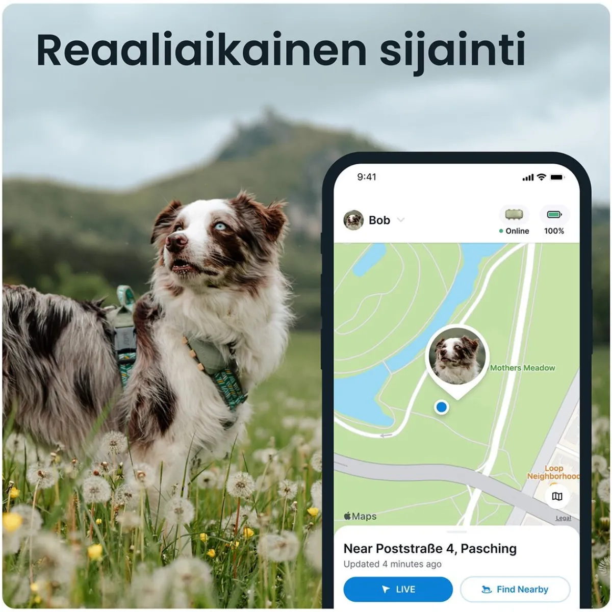 Tractive Retkeily Koiran Kanssa|Retkeily*GPS koiralle XL