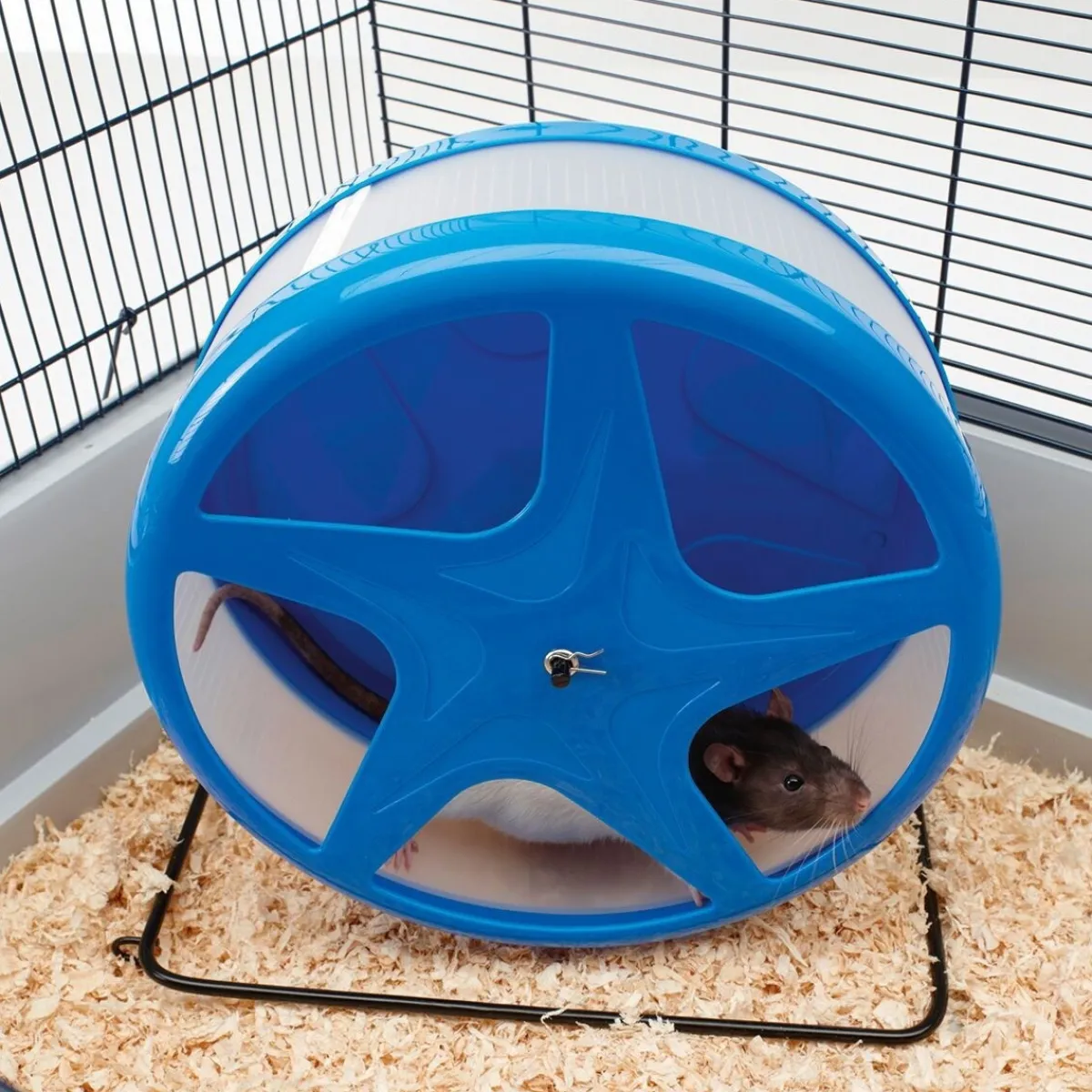 Savic Kesyhiiren Lelut|Pieneläinten Häkin Sisustus*Hamsterin juoksupyörä Orbital, L
