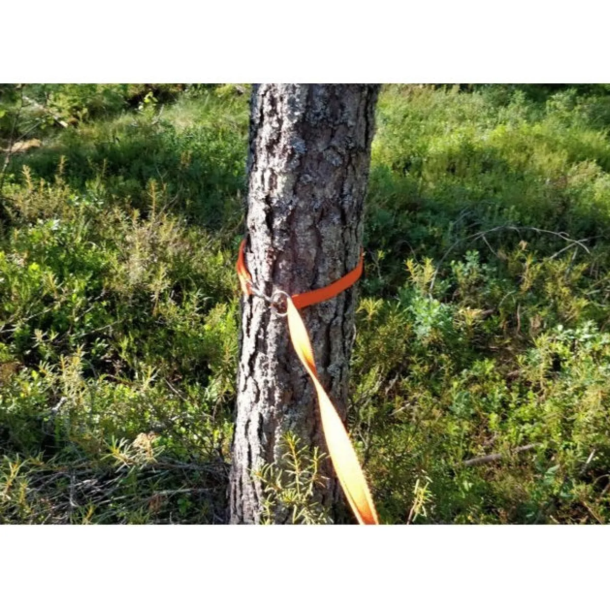 Kardog Koiran Hihnat Ja Flexit*Heijastintalutin Iita,
