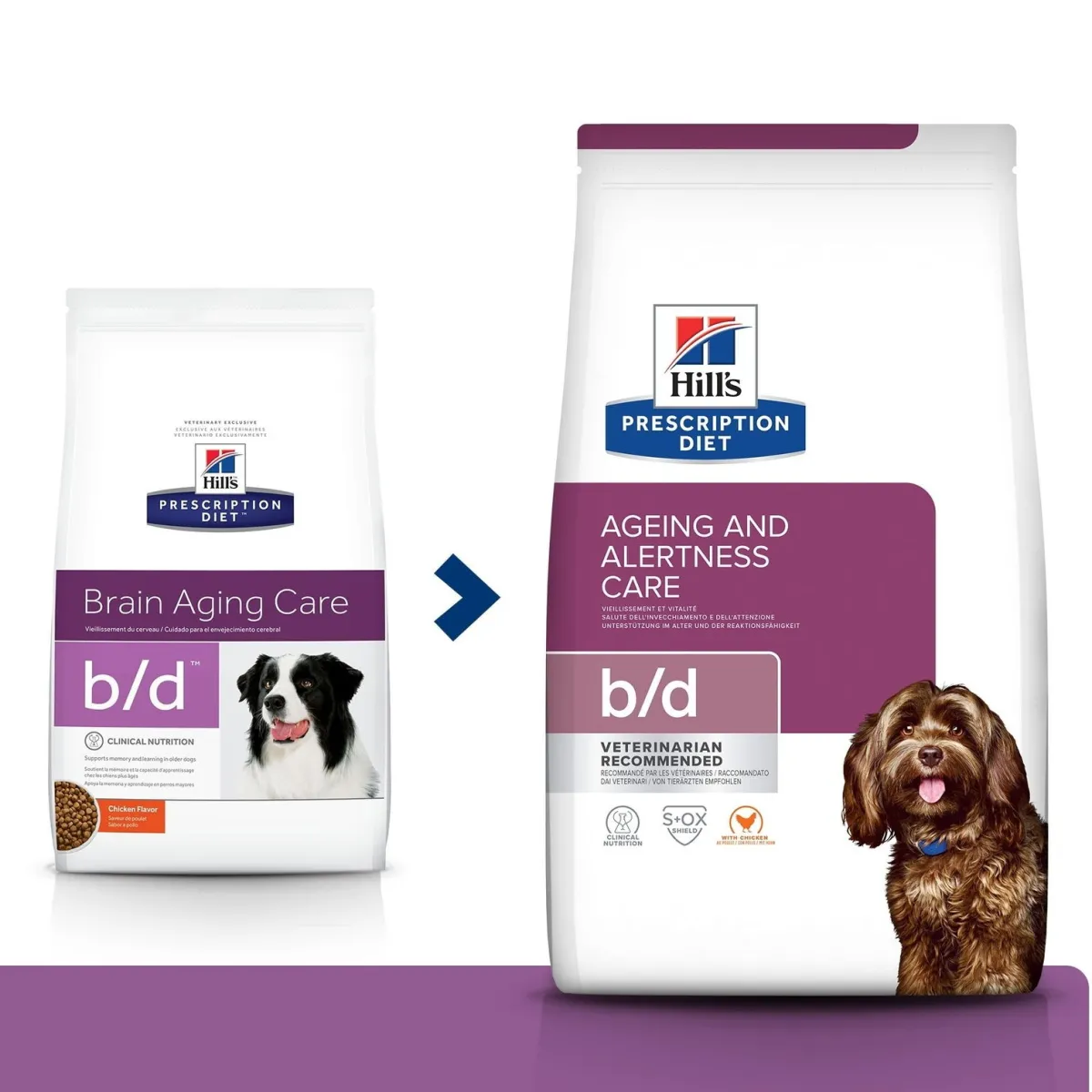 Hill's Prescription Diet Koiran Eläinlääkäriruoka|Koiran Aivot*Hill´s canine b/d Aging Care 12 kg