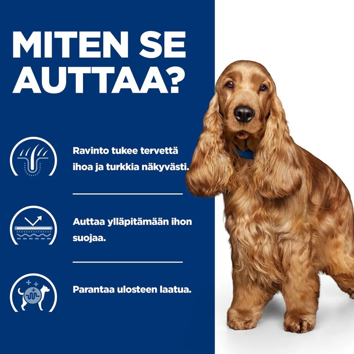 Hill's Prescription Diet Koiran Allergiat|Koiran Eläinlääkäriruoka*Hill's Canine z/d Food Sensitivities 370 g