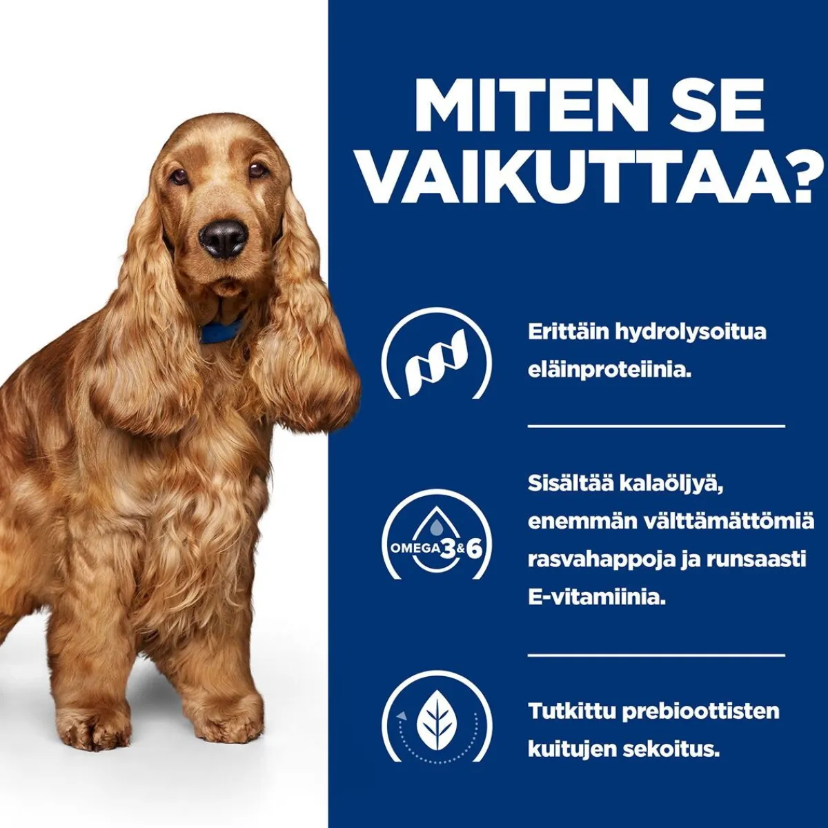 Hill's Prescription Diet Koiran Allergiat|Koiran Eläinlääkäriruoka*Hill's Canine z/d Food Sensitivities 370 g