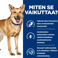 Hill's Prescription Diet Koiran Eläinlääkäriruoka|Koiran Suolistosairaudet*Canine i/d Digestive Care 360 g