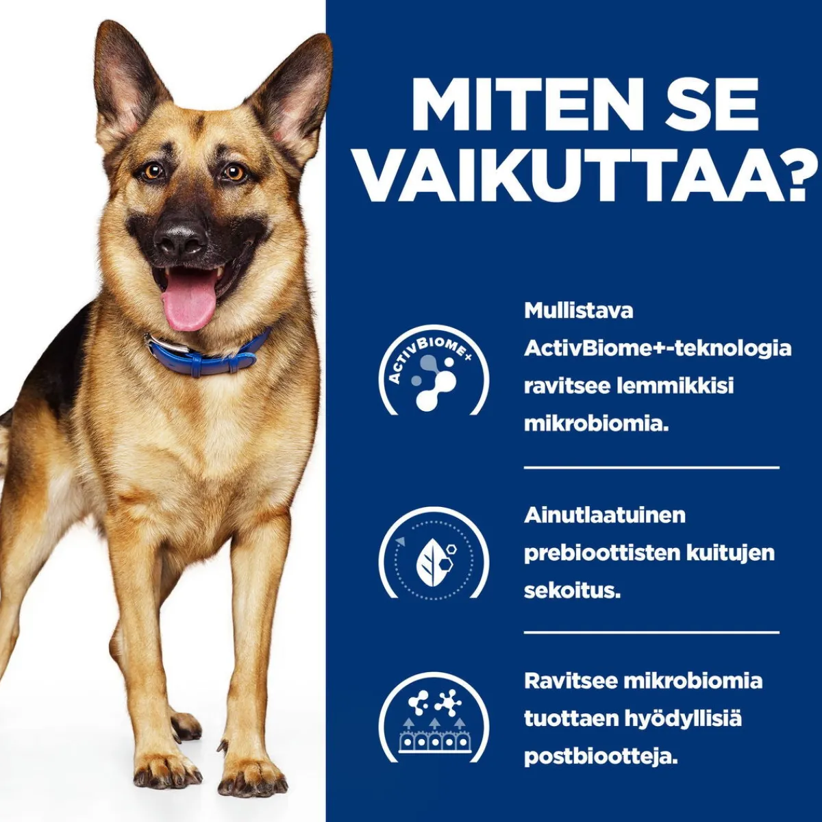 Hill's Prescription Diet Koiran Eläinlääkäriruoka|Koiran Suolistosairaudet*Canine Gastrointestinal Biome Chicken 354 g