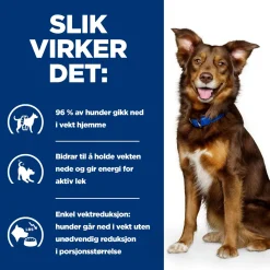 Hill's Prescription Diet Koiran Eläinlääkäriruoka|Koiran Ylipaino*Canine Metabolic Weight Loss & Maintenace Chicken 2x12 kg
