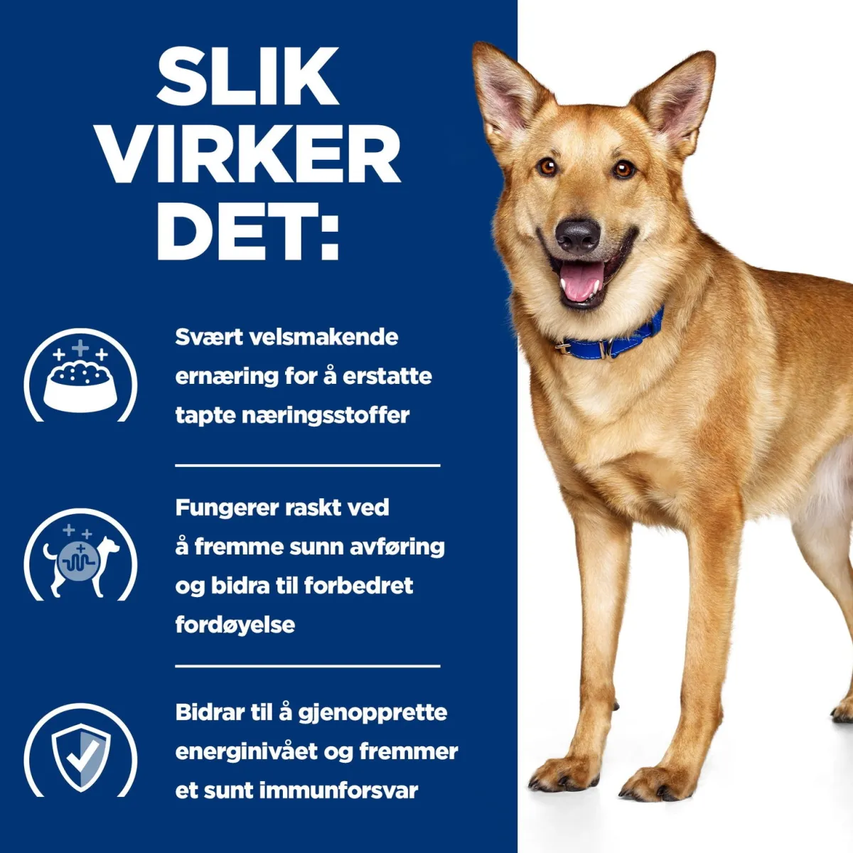 Hill's Prescription Diet Koiran Eläinlääkäriruoka|Koiran Suolistosairaudet*Canine i/d Digestive Care Chicken 2x12 kg
