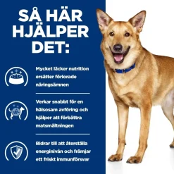 Hill's Prescription Diet Koiran Eläinlääkäriruoka|Koiran Suolistosairaudet*Canine i/d Digestive Care Chicken 2x12 kg