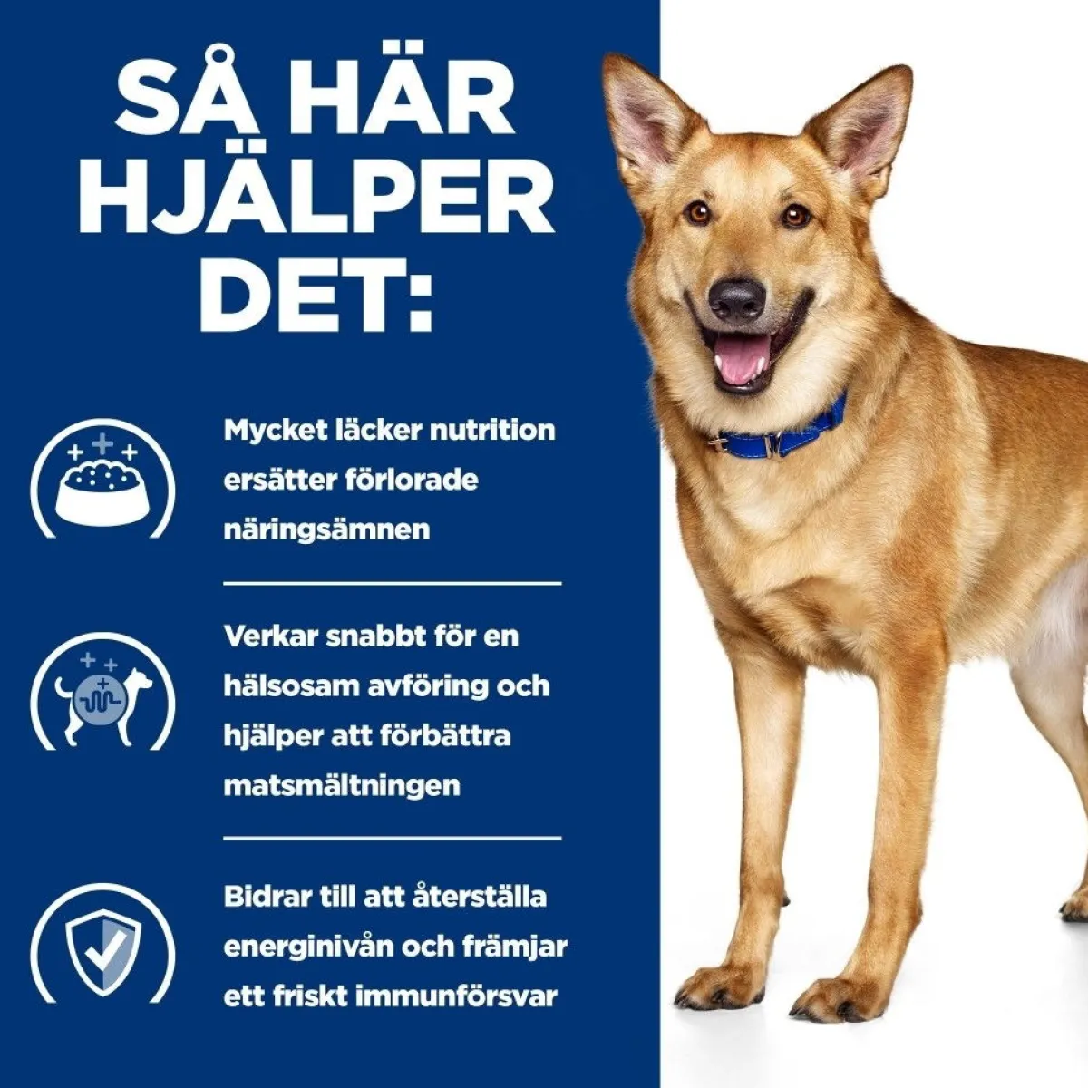 Hill's Prescription Diet Koiran Eläinlääkäriruoka|Koiran Suolistosairaudet*Canine i/d Digestive Care Chicken 2x12 kg
