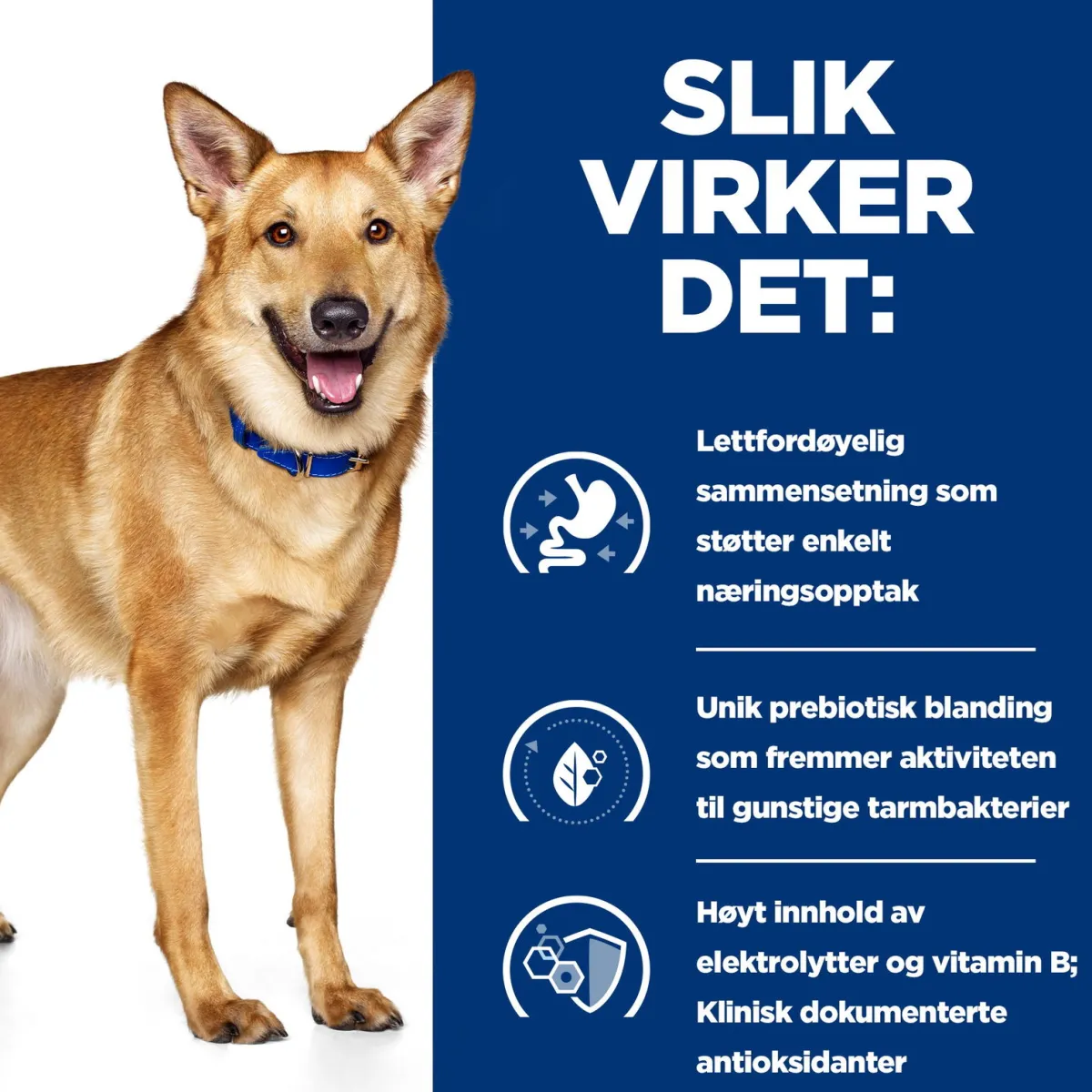 Hill's Prescription Diet Koiran Eläinlääkäriruoka|Koiran Suolistosairaudet*Canine i/d Digestive Care Chicken 2x12 kg