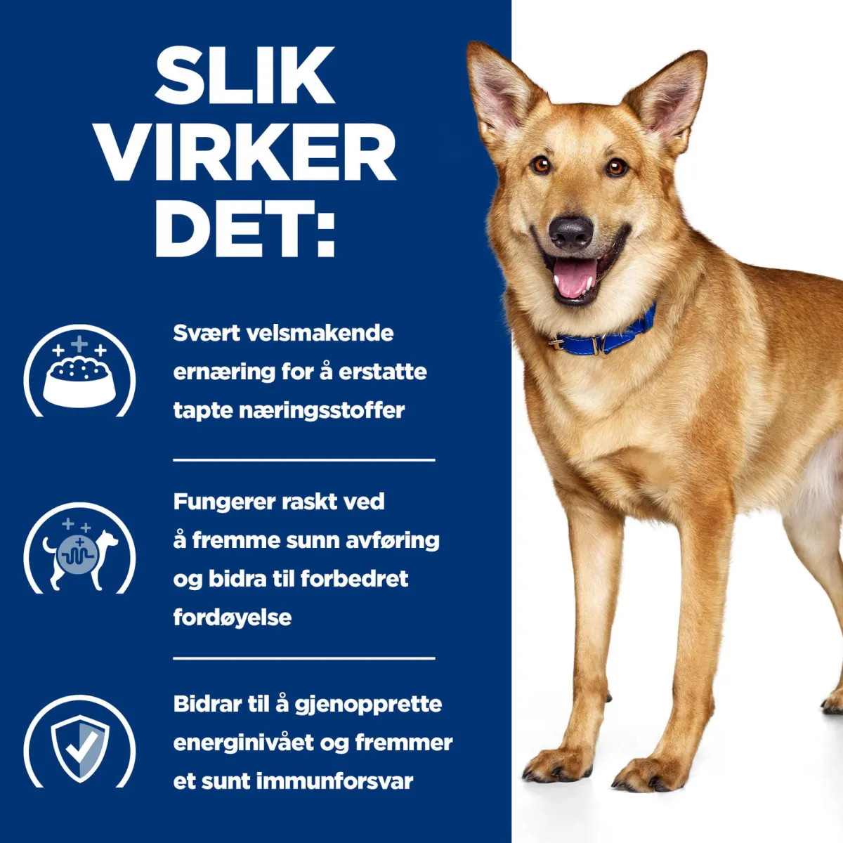 Hill's Prescription Diet Koiran Eläinlääkäriruoka|Koiran Suolistosairaudet*Canine i/d Digestive Care Chicken 2x12 kg
