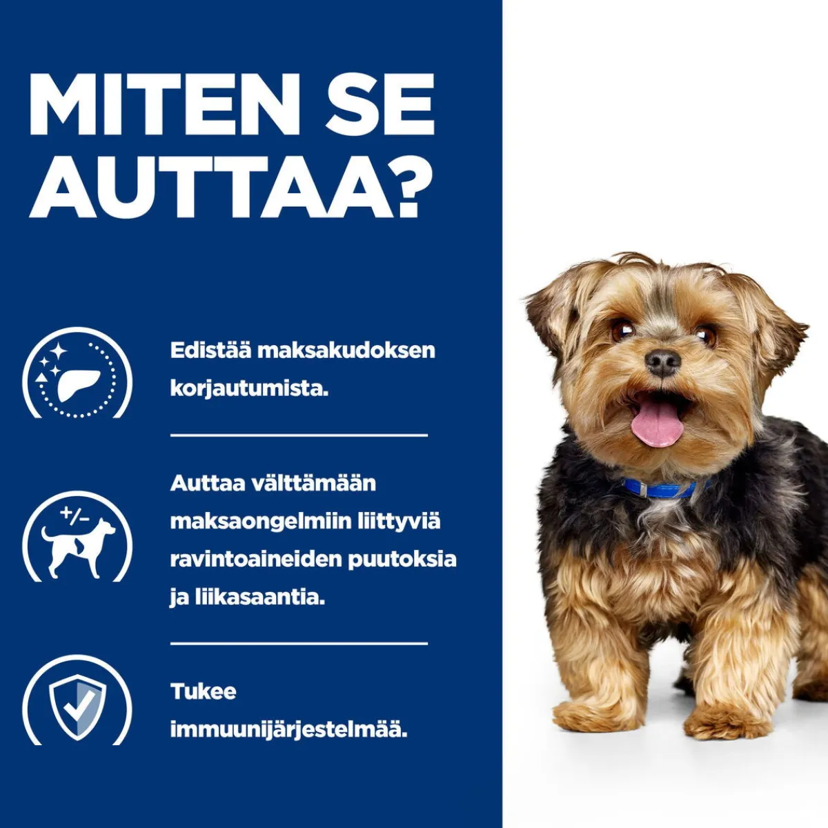 Hill's Prescription Diet Koiran Maksasairaudet|Koiran Eläinlääkäriruoka*Canine l/d Liver Care 370 g