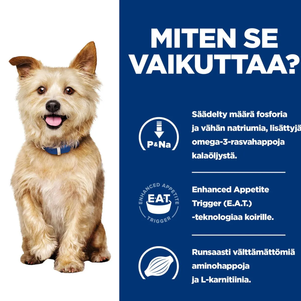 Hill's Prescription Diet Koiran Eläinlääkäriruoka|Koiran Munuaisten Vajaatoiminta*Canine k/d Kidney Care Chicken 354 g