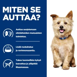Hill's Prescription Diet Koiran Eläinlääkäriruoka|Koiran Munuaisten Vajaatoiminta*Canine k/d Kidney Care Chicken 354 g