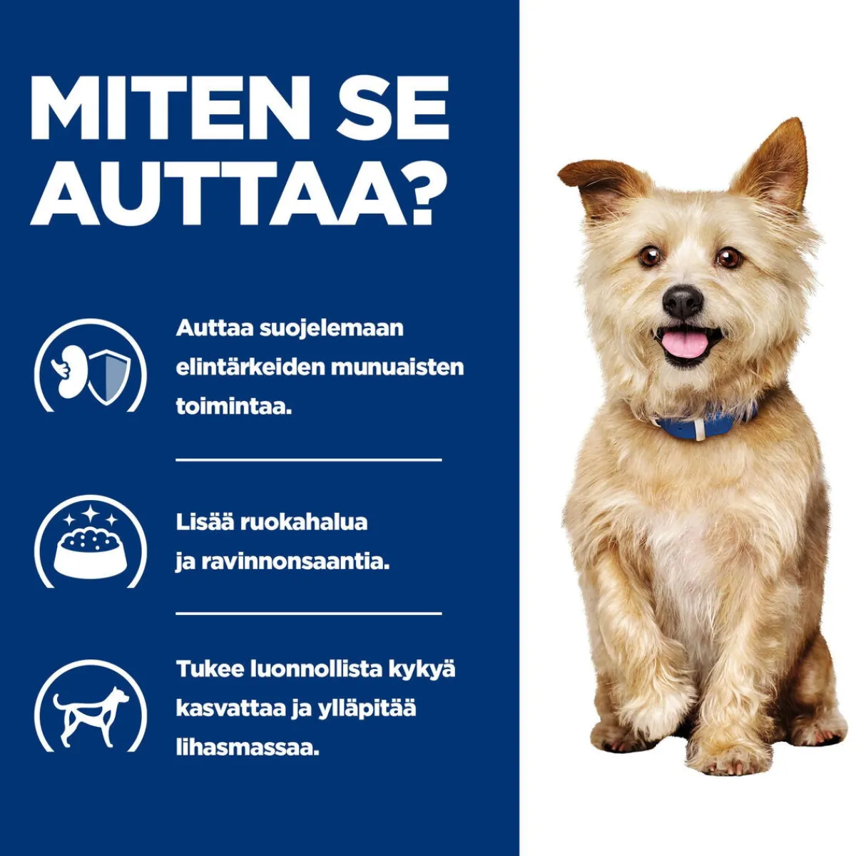 Hill's Prescription Diet Koiran Eläinlääkäriruoka|Koiran Munuaisten Vajaatoiminta*Canine k/d Kidney Care Chicken 354 g