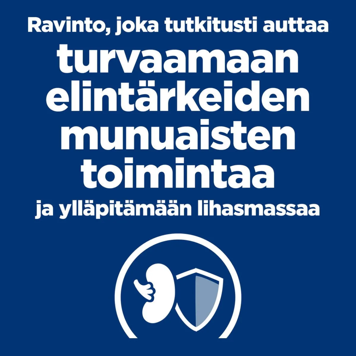 Hill's Prescription Diet Koiran Eläinlääkäriruoka|Koiran Munuaisten Vajaatoiminta*Canine k/d Kidney Care Chicken 354 g